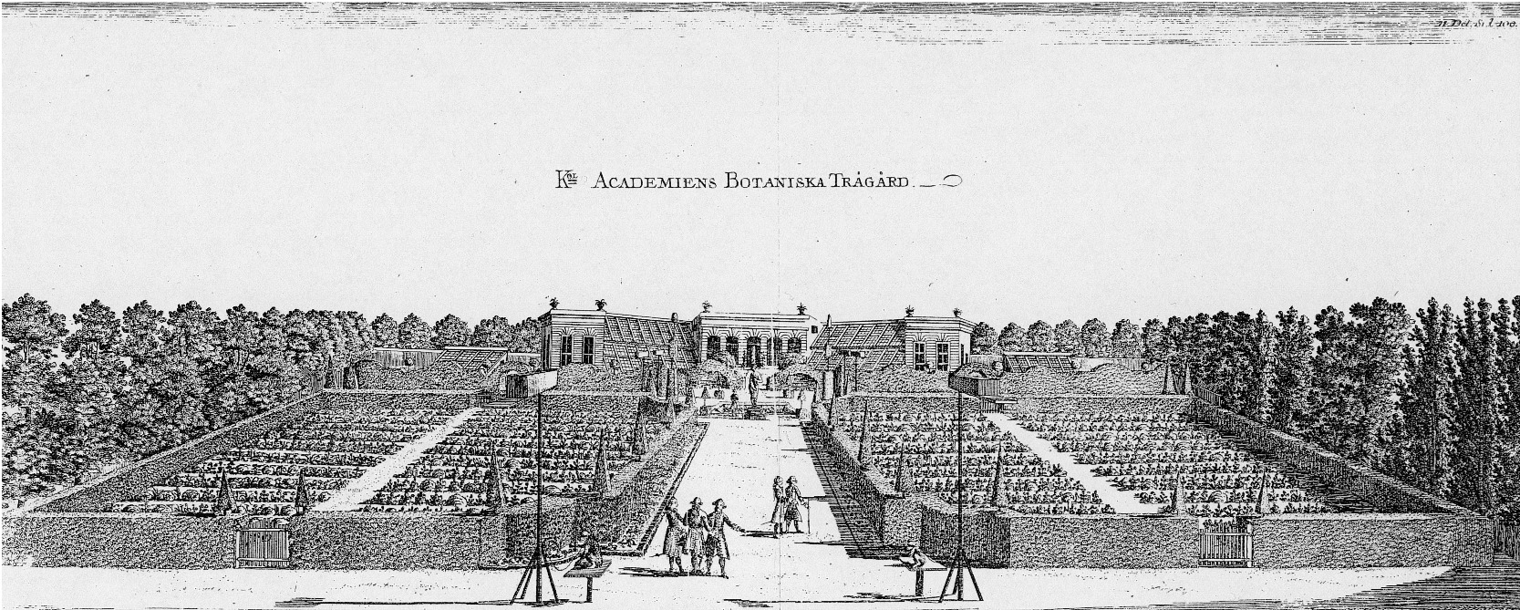 Linnaean Garden